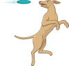 +animal+canine+canid+jumping+for+frisbee+ clipart