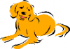 +animal+canine+canid+lab+golden+ clipart
