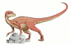 +extinct+dinosaur+jurassic+Abrictosaurus+dinosaur+ clipart