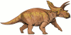 +extinct+dinosaur+jurassic+Anchiceratops+dinosaur+ clipart