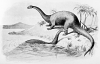 +extinct+dinosaur+jurassic+Brontosaurus+scene+ clipart