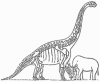 +extinct+dinosaur+jurassic+Dinosaur+Elephant+size+ clipart