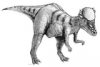 +extinct+dinosaur+jurassic+Pachycephalosaurus+ clipart