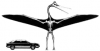 +extinct+dinosaur+jurassic+Quetzalcoatlus+ clipart