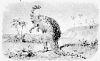 +extinct+dinosaur+jurassic+Scelidosaurus+harrisonii+ clipart