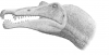 +extinct+dinosaur+jurassic+Spinosaurus+skull+ clipart