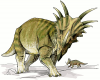 +extinct+dinosaur+jurassic+Styracosaurus+dinosaur+ clipart