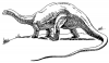 +extinct+dinosaur+jurassic+dinosaur+brontosaurus+ clipart