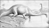 +extinct+dinosaur+jurassic+diplodocus+2+ clipart