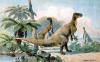 +extinct+dinosaur+jurassic+iguanodon+ clipart