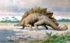 +extinct+dinosaur+jurassic+stegosaurus+illustration+ clipart