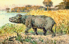 +extinct+mammal+animal+coryphodon+hippo+ancestor+ clipart