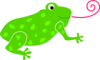 +animal+amphibians+carnivorous+anura+frog+curling+tongue+ clipart