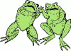 +animal+amphibians+carnivorous+anura+two+frogs+ clipart