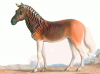 +extinct+mammal+animal+Quagga+stallion+ clipart