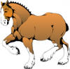 +animal+mammal+horse+Clydesdale+ clipart