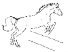 +animal+mammal+horse+jumping+fence+ clipart