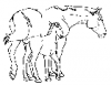 +animal+mammal+horse+mare+and+foal+ clipart