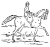 +animal+mammal+horse+woman+side+saddle+ clipart