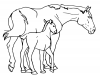 +animal+ungulate+mammal+Equidae+horse+mare+and+foal+ clipart