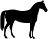 +animal+ungulate+mammal+Equidae+horse+profile+ clipart