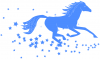 +animal+ungulate+mammal+Equidae+horse+running+in+stars+blue+ clipart