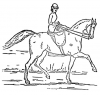 +animal+ungulate+mammal+Equidae+horse+woman+side+saddle+ clipart