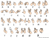 +signal+asl+language+hand+communication+Norwwegian+sign+language+alphabet+ clipart