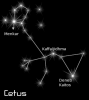 +astronomy+astrology+space+constellation+cetus+black+ clipart