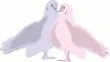 +marry+marriage+wedlock+matrimony+wedding+blue+and+pink+doves+ clipart
