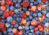 +fruit+food+produce+Alaska+wild+berries+ clipart