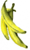 +fruit+food+produce+banana+bunch+sm+ clipart