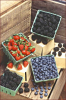 +fruit+food+produce+berries+large+ clipart