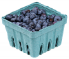 +fruit+food+produce+blueberries+in+pack+small+ clipart
