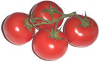 +fruit+food+produce+cherry+tomatoes+4+ clipart