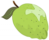 +fruit+food+produce+lime+whole+clipart+ clipart