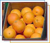 +fruit+food+produce+oranges+in+a+box+ clipart