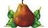 +fruit+food+produce+pear+seckel+ clipart