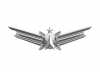 +military+Air+Force+Space+Badge+Senior+ clipart