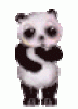 +panda+bear+ clipart