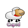 +sheep+named+cupid+ clipart