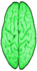+green+brain+organ+ clipart