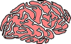 +red+brain+organ+ clipart