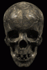 +skull+head+open+mouth+animation+ clipart