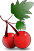 +icon+cherries+ clipart