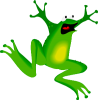 +icon+frog+ clipart