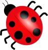 +icon+ladybug+ clipart