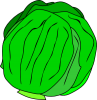 +icon+lettuce+ clipart