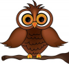 +icon+owl+ clipart