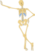 +icon+skeleton+ clipart